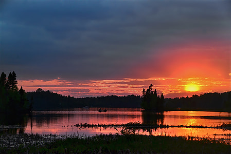 silhouette photo of trees at sunset thumbnail