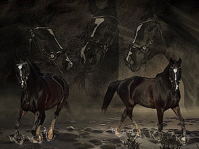 painting of two black horses thumbnail