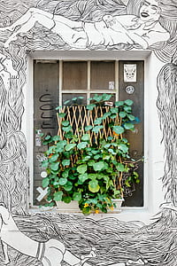 green leafed plant on window thumbnail