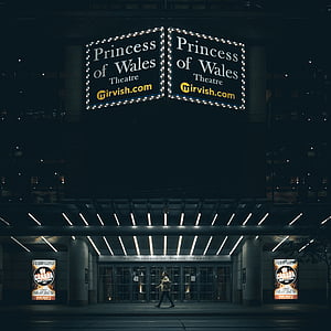 Princess of Wales signage thumbnail