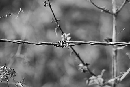 grey barbed wire fence thumbnail