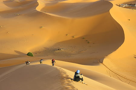 group of people walking on sand thumbnail