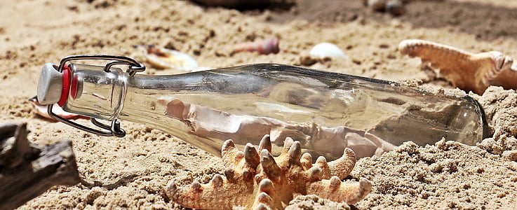 clear glass bottle on brown sand beside brown seashells thumbnail