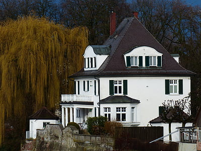 white house near brown tree thumbnail