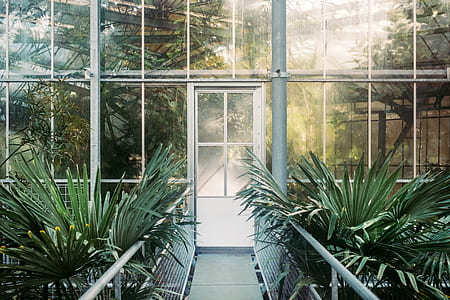 photo of glass door thumbnail