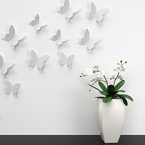 white orchid in vase thumbnail