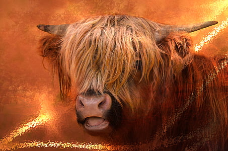yak graphic poster thumbnail