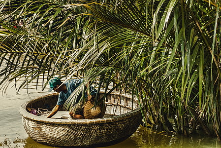 man riding boat near trees thumbnail