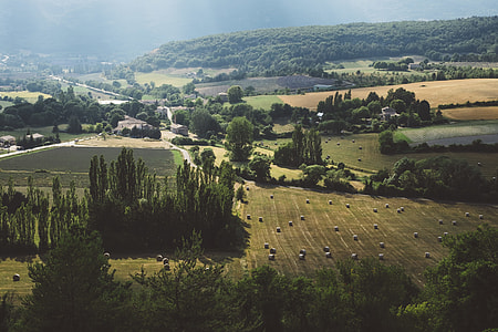 aerial view of forest during day time thumbnail