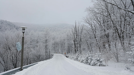 Snow Landscape, Line Of Vision thumbnail