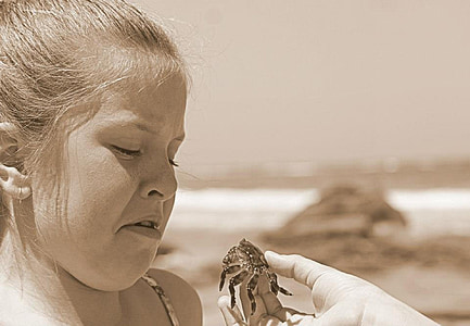 girl looking at crab near her face during daytime thumbnail