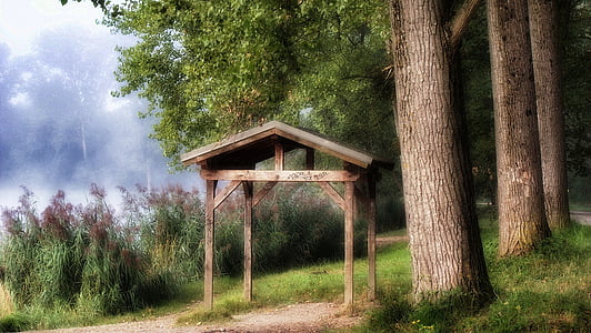 brown wooden patio beside trees during daytime thumbnail