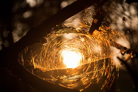 silhouette of spider web under golden hour thumbnail