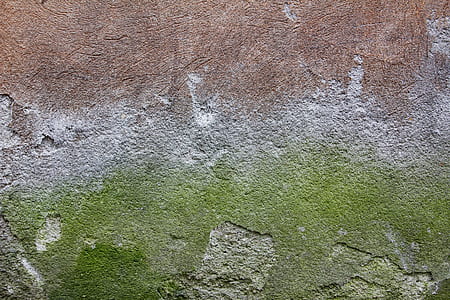 concrete, wall, texture, green thumbnail