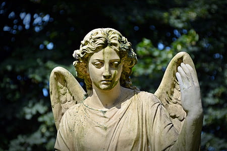 selective focus photography of angel concrete statue thumbnail