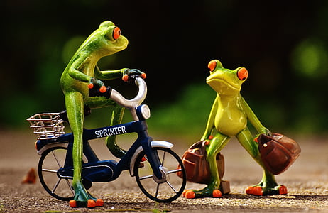 frog riding bicycle thumbnail