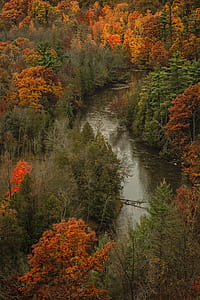 lake between trees thumbnail