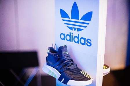 unpaired blue and white adidas D Rose 9 shoe thumbnail