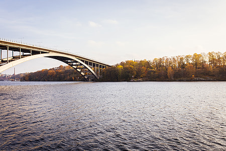 gray bridge above body of water near forest thumbnail