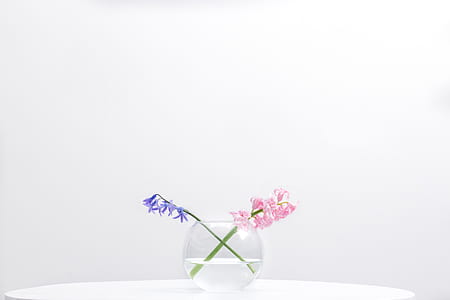 pink and purple hyacinths flowers in clear glass vase on table thumbnail