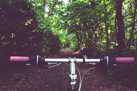 light, road, landscape, nature thumbnail
