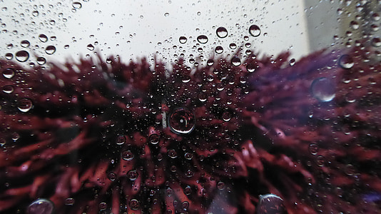 clear glass with moist thumbnail