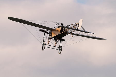 brown and white monoplane thumbnail
