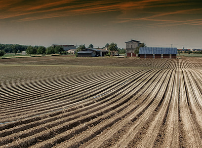 brown field thumbnail