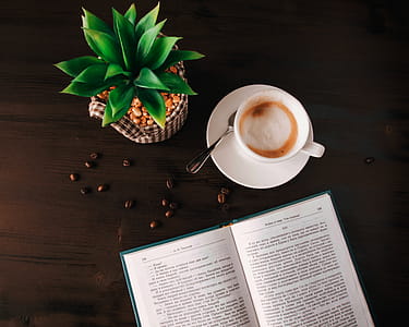 White Ceramic Mug on Saucer Near Book thumbnail