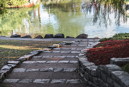 grey concrete pathway near calm body of water thumbnail