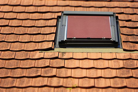 close-up photo of brown surface during daytime thumbnail