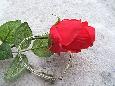 red rose with beaded stone bracelet thumbnail