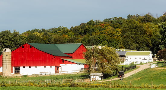 panoramic photo of houses thumbnail