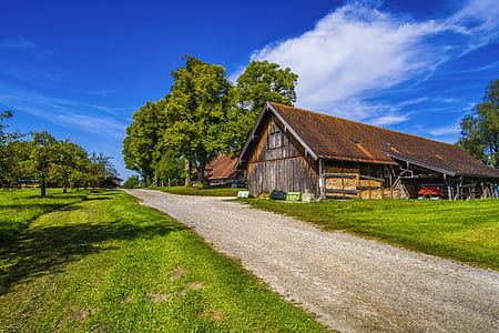 shack beside road under calm blue sky thumbnail