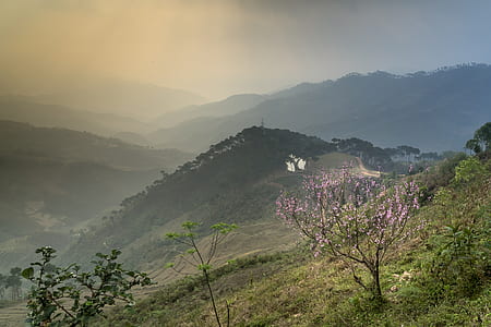 landscape photo of mountain thumbnail