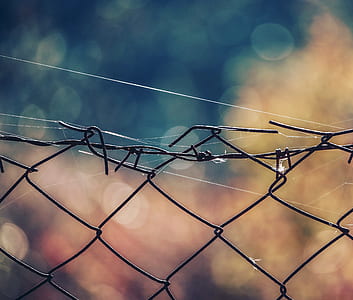 shallow focus photography of cyclone fence thumbnail