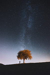 man standing under tree thumbnail