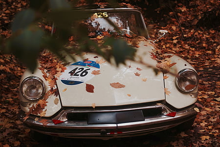 classic vehicle on maple leaves thumbnail