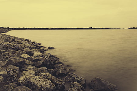 grayscale photo of seashore under sky at daytime thumbnail