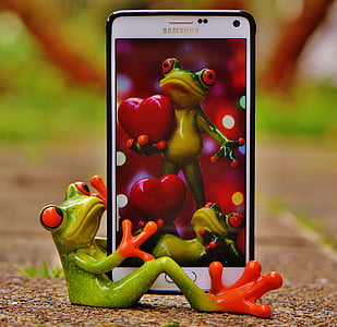 red-eyed frog smartphone wallpaper thumbnail