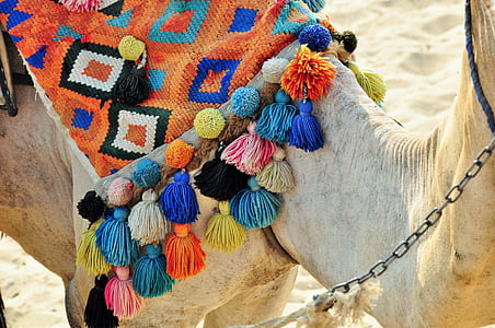 assorted-colored knitted camel saddle thumbnail