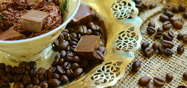 coffee beans on food tray close up shot thumbnail