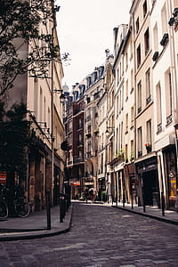 Paris Streets Photo thumbnail