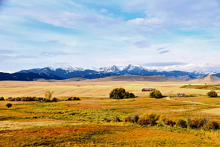 Brown and Green Grass Field Under Clear Blue Skies thumbnail