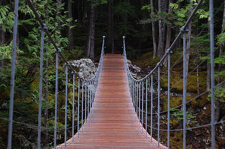 brown and gray hanging bridge during daytime thumbnail