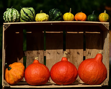 assorted-color vegetable lot thumbnail