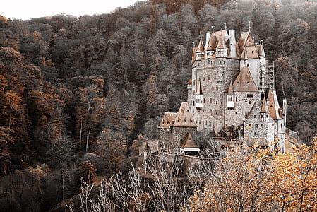 gray stone castle surrounded by trees during daytime thumbnail