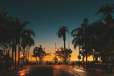 silhouette photo of people walking on streets thumbnail