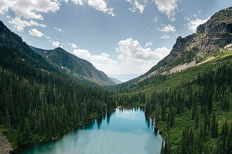green forest near lake and mountains at daytime thumbnail