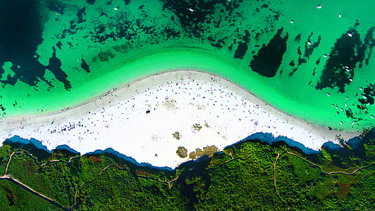 shoreline in between of body of water and green leafed trees thumbnail